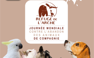 Journée mondiale contre l’abandon des animaux de compagnie