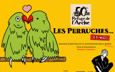 Spectacle « Les perruches & moi » dimanche 13 octobre