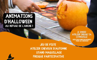 Fêtez Halloween au Refuge de l’Arche, le 31 octobre ! 🎃🐾