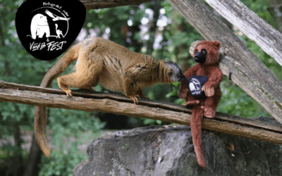 « Marout’ » : la mascotte officielle du VandB Fest’ !