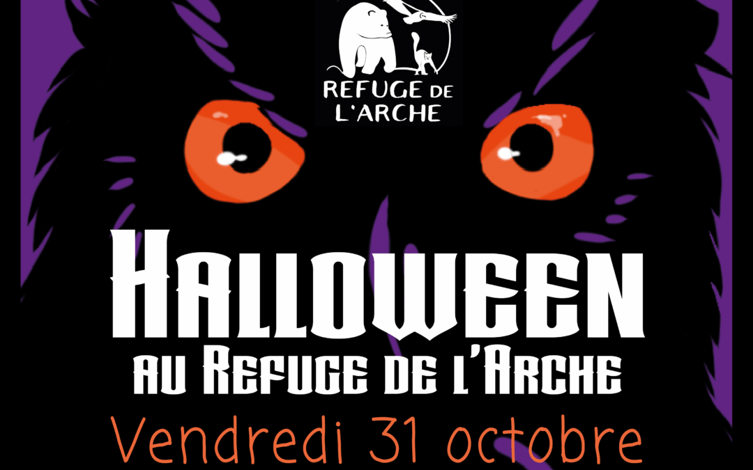 Halloween au Refuge de l’Arche ! 🎃