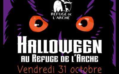 Halloween au Refuge de l’Arche ! 🎃