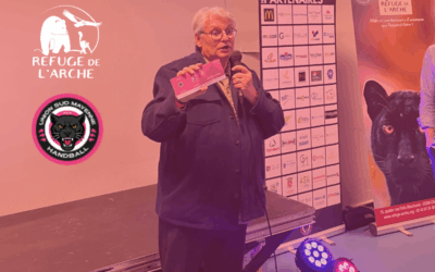 Des « Tickets panthère » offerts à tous les licenciés de l’Union Sud Mayenne Handball 