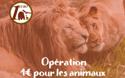 Le Refuge de l’Arche relance son opération 1 € pour les animaux
