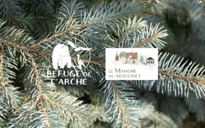 Vente de sapins au profit du Refuge de l’Arche au Manoir du Moulinet le 7 décembre
