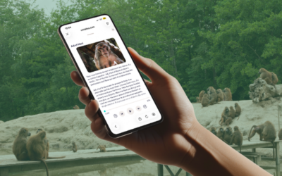 Découvrez le Refuge de l’Arche autrement en 2026 !