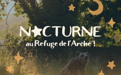 Nocturne au Refuge de l’Arche – Vendredi 14 août
